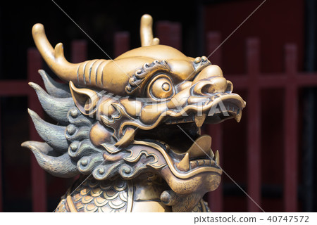 Bronze dragon head sculture Bronze dragon head sculture 40747572
