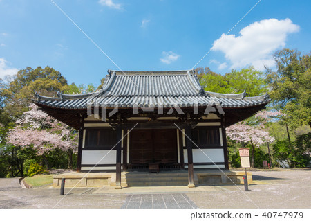 [奈良縣]奈良公園順吉道 40747979