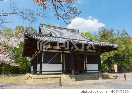 [奈良縣]奈良公園順吉道 40747985