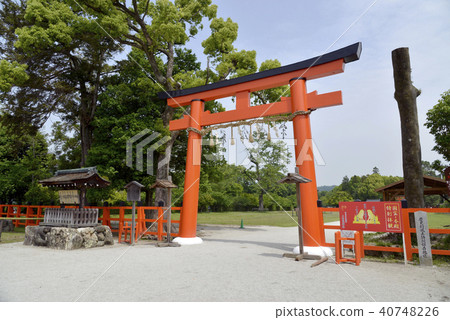 Kamigamo Shinto shrine torii 40748226