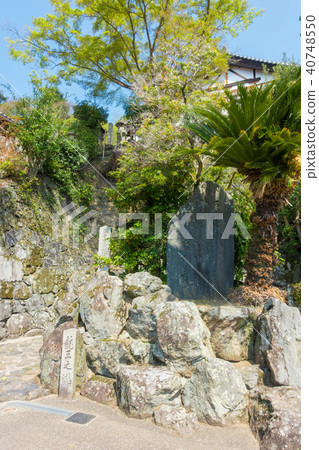 [奈良縣]奈良公園Ryuo Taki Taki 40748550