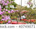 Japanese beauty 40749071
