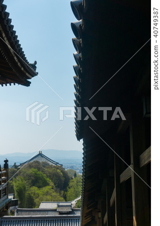 [Nara Prefecture] Nara Park Todaiji temple Februdend Observation Spring cherry 40749387