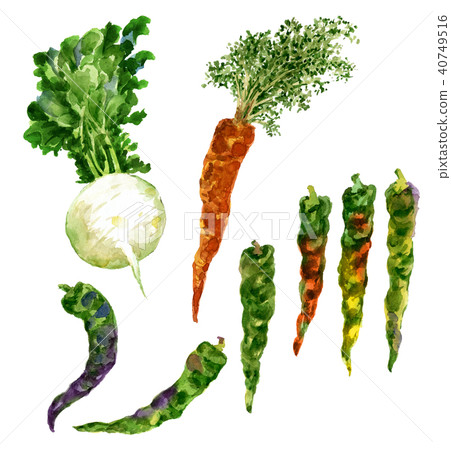 京都蔬菜 40749516