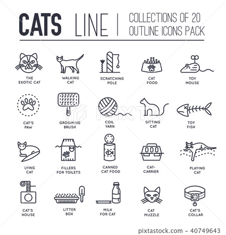 Vector thin line breed cats icons set. 40749643