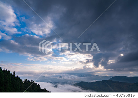 "Shizuoka Prefecture" sea of clouds and natural scenery 40750019