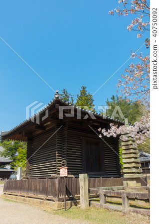 [奈良縣]奈良公園東大寺北海道寺廟發塔 40750092