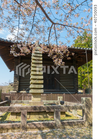 [奈良縣]奈良公園東大寺北海道寺廟發塔 40750093