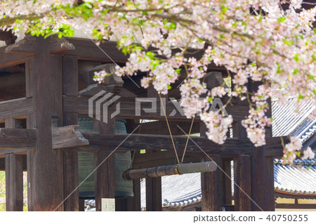[奈良縣]奈良公園東大寺鐘樓 40750255