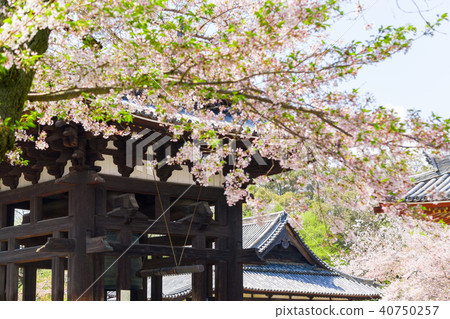 [奈良縣]奈良公園東大寺鐘樓 40750257