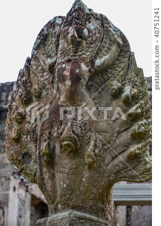 Serpent Naga Serpent Naga 40751241