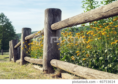 Wooden rustic fence and flowerbed in the village. Wooden rustic fence and flowerbed in the village. 40753614