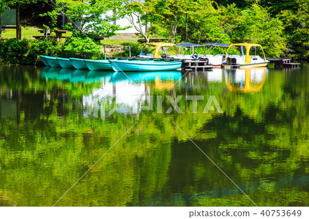新鮮的綠色雲池[雲仙市長崎縣] 40753649