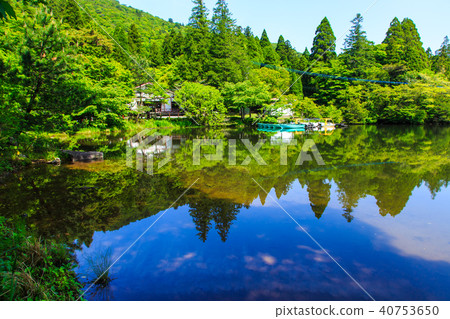 新鮮的綠色雲池[雲仙市長崎縣] 40753650