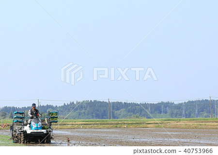 Male image rice planting with rice transplanter Male image rice planting with rice transplanter 40753966