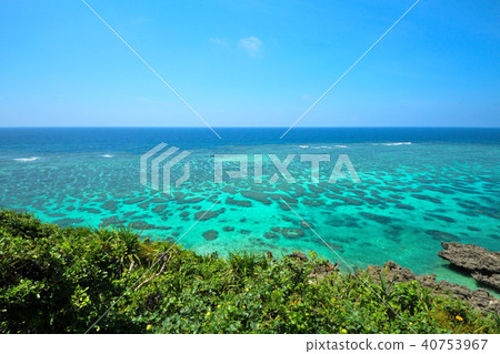 Miyakojima im ga marine garden Miyakojima im ga marine garden 40753967