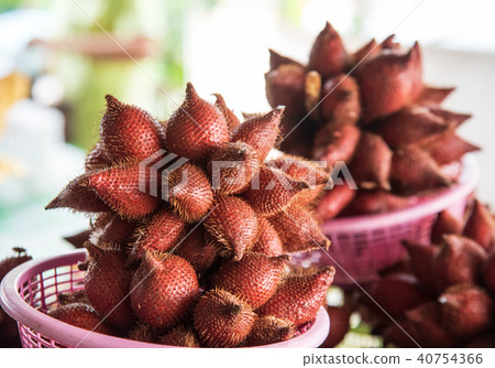 蛇皮果 泰國 水果 熱帶 Salacca Zalacca 蛇皮果 泰國 水果 熱帶 Salacca Zalacca 40754366