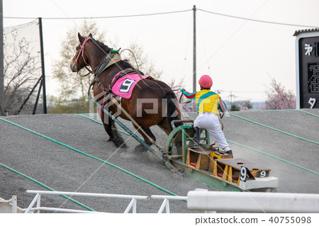 Banged賽馬 Banged賽馬 40755098