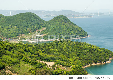 新鮮的綠色瀨戶內海的海角 新鮮的綠色瀨戶內海的海角 40756289