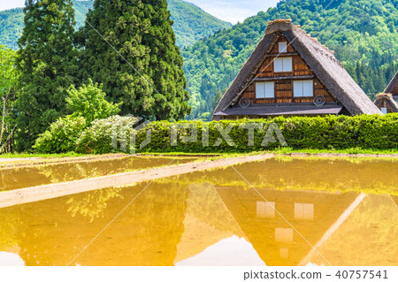 “岐阜縣”白川鄉，反映在稻田中 40757541