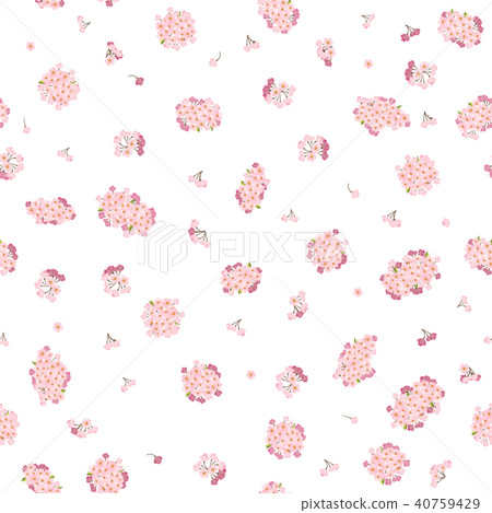 A cherry tree branch in bloom. Spring motif. 40759429