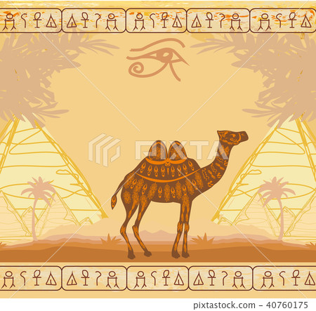 Vintage background with pyramids giza and camel 40760175