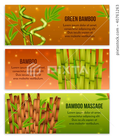 Bamboo Banners Set  40761263