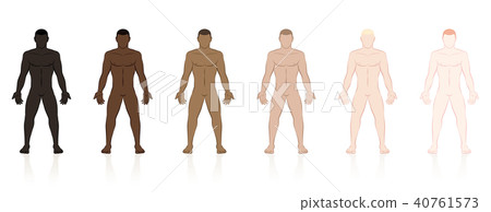 Skin Types Ethnic Colors Male Bodies Skin Types Ethnic Colors Male Bodies 40761573