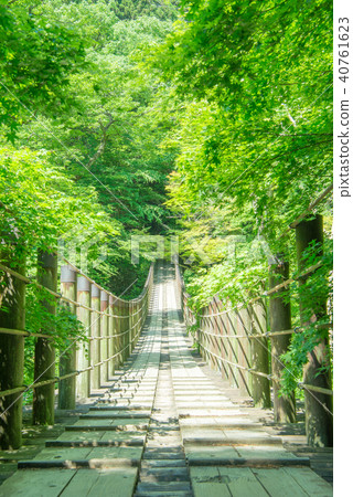 Hananuki Valley Shiomi瀑布吊橋新鮮綠色 40761623