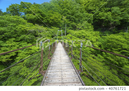 Soya Valley Shimokura Bridge of fresh green 40761721