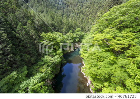 從新鮮的綠色Sobake Valley Shidaku橋的風景 40761723