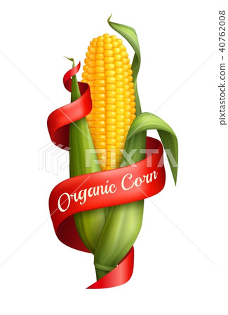 Realistic Corn With Ribbon 40762008