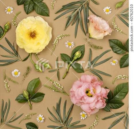 Elegant floral ornament. Elegant floral ornament. 40762010