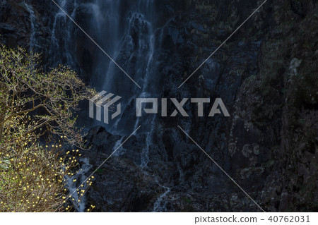 Gifu Prefecture Kago Mother Otome Valley Waterfall Gifu Prefecture Kago Mother Otome Valley Waterfall 40762031