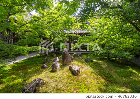 季節性花園 季節性花園 40762330