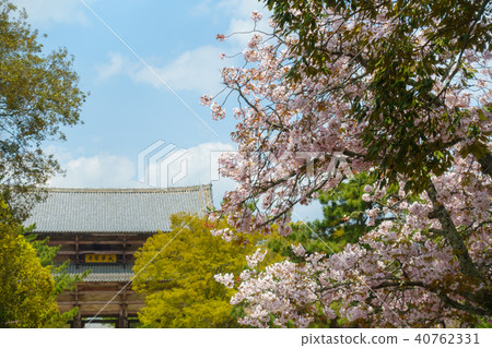 [奈良縣]奈良公園東大寺南大門 40762331