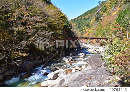 The autumn bridge of autumn and the forest railroad track 40763443