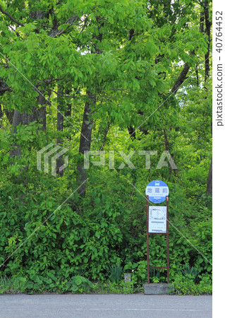 Image of Totoro next to the bus stop in the forest 40764452