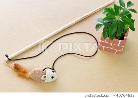 Cats Cats 40764632
