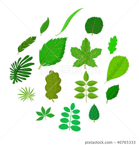 Green leafs icons set, cartoon style 40765333