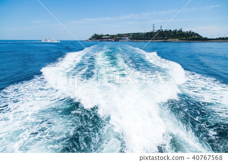 伊豆初島 40767568