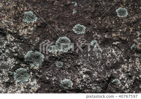 粗礪的岩石岩石岩石石頭地面岩石表情岩石表面岩石表面岩石表面岩石花崗岩黑色灰色 粗礪的岩石岩石岩石石頭地面岩石表情岩石表面岩石表面岩石表面岩石花崗岩黑色灰色 40767597