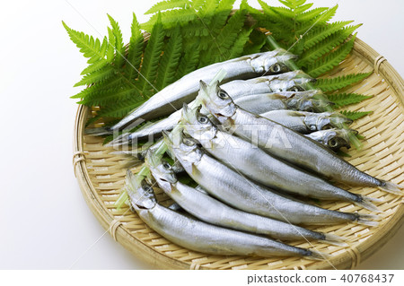 20 children 40768437