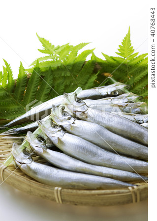 Childcare person 23 40768443