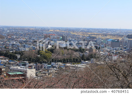 從足利的視角的足利Orihime神社 40768451