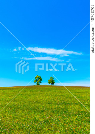Green hills and trees 40768705