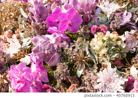 Pink flowers, background material 40768915