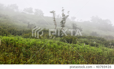 Mountain top of Ibukiyama smoking in fog 40769416