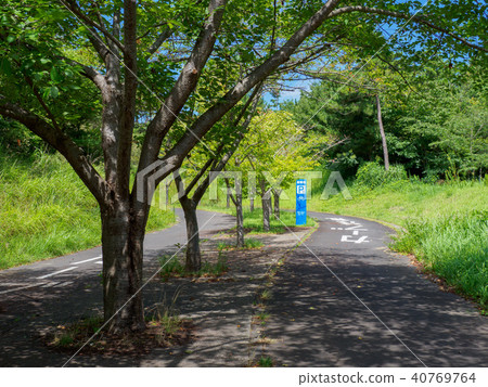 Hitachi Seaside Park 40769764