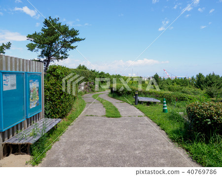 Hitachi Seaside Park Hitachi Seaside Park 40769786